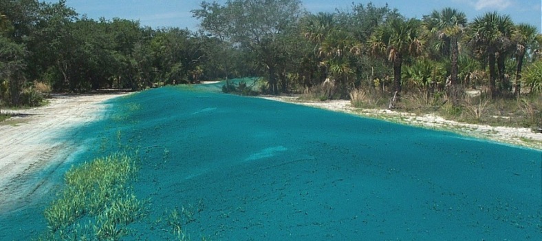 Hydroseeding Mulches