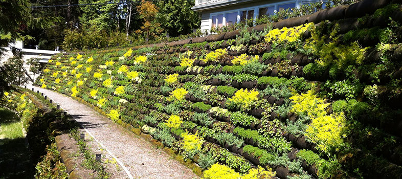 Flex MSE - Vegetated Geobag Wall Units - Freshly Painted